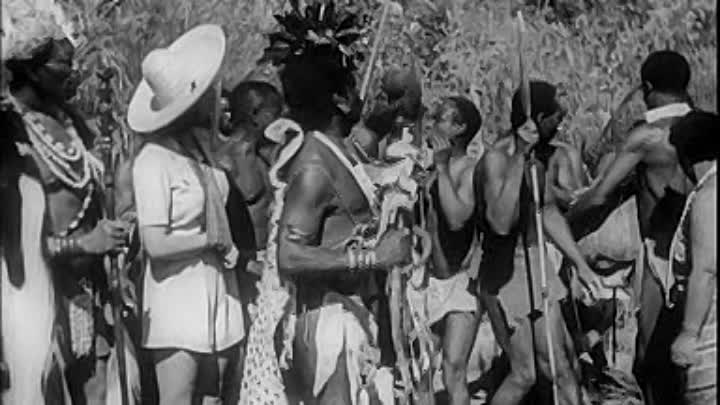 ⁣H R 1945 Quax in Afrika