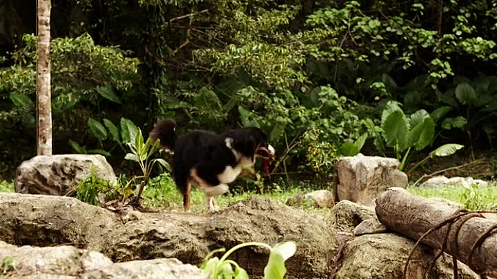 Fuenf Freunde 3 German 2014 BDRiP x264-EXQUiSiTE