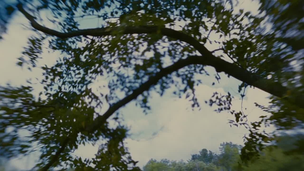 ⁣Stoker 2013 1080p BluRay x264 YIFY