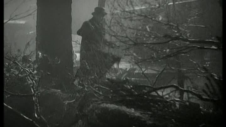 Annelie - die Geschichte eines Lebens 1941