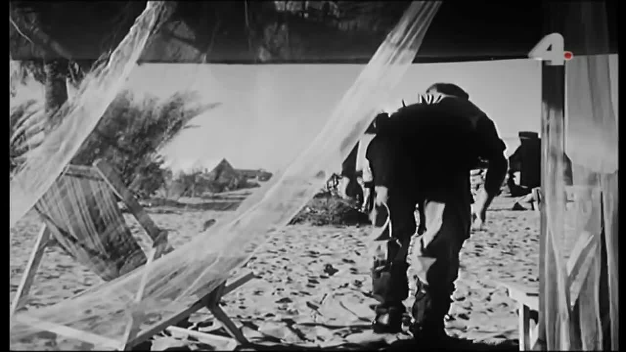 der stern von afrika