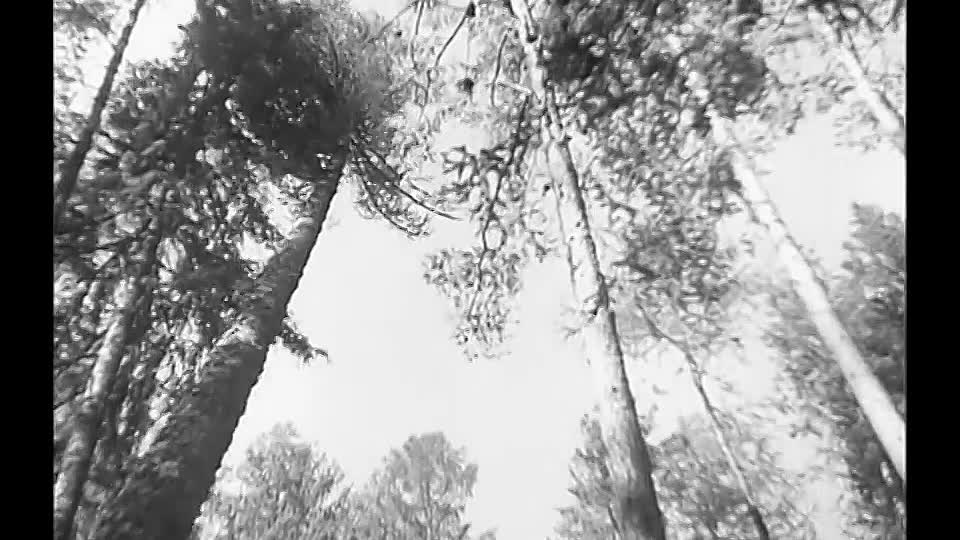 Der Verlorene Sohn (1934)