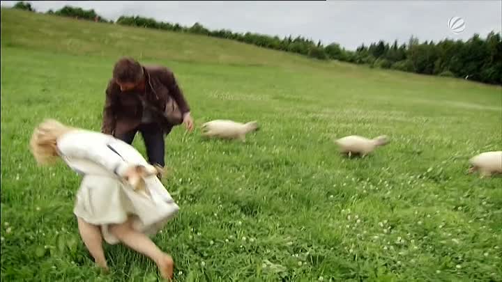 Klick ins Herz 2009 GERMAN dTV XviD