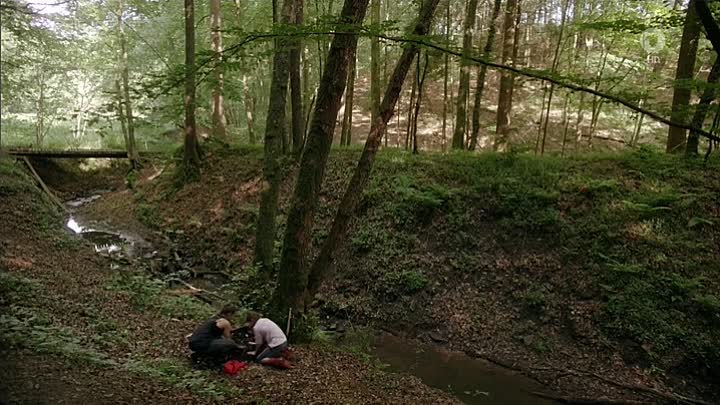 Nur eine Handvoll Leben 2016 GERMAN HDTV x264-ACED