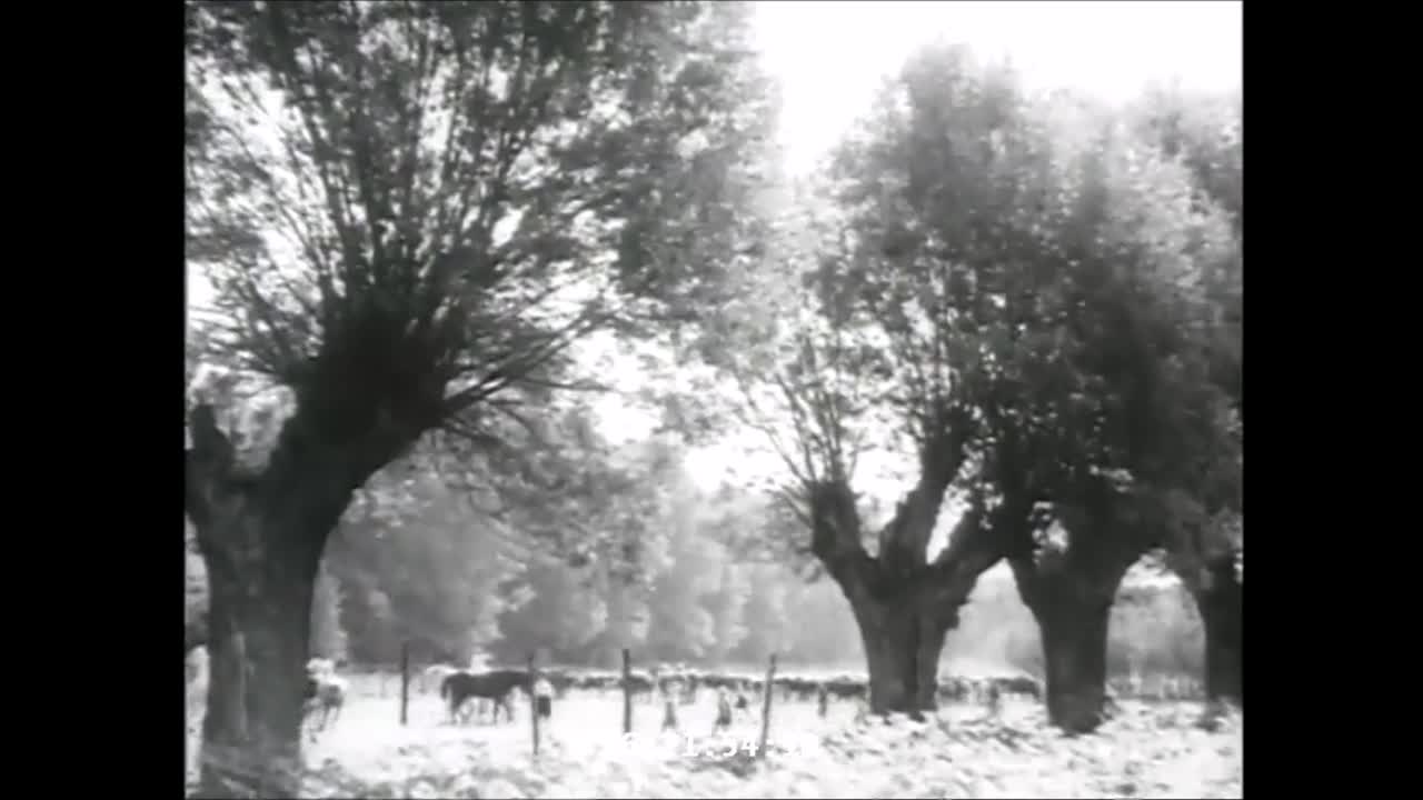 Kopf hoch, Johannes 1941