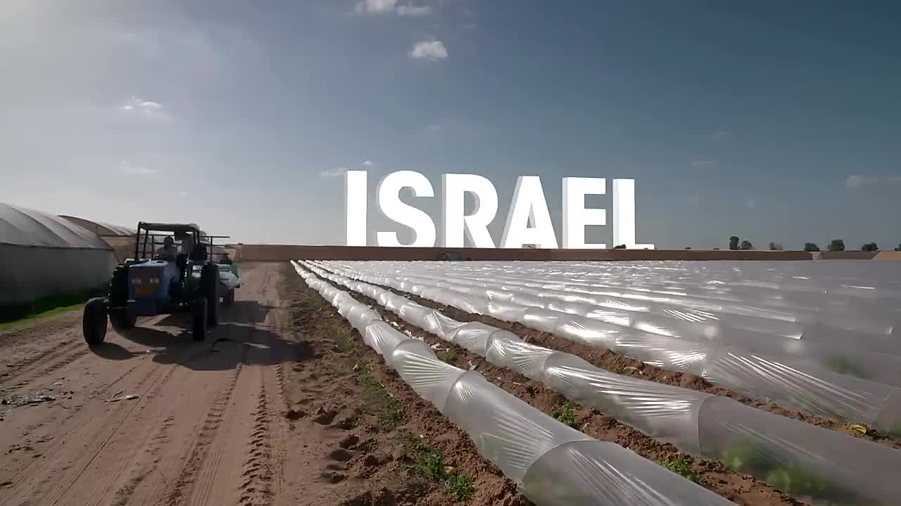 Why Fruits Have Lost Their Vitamins