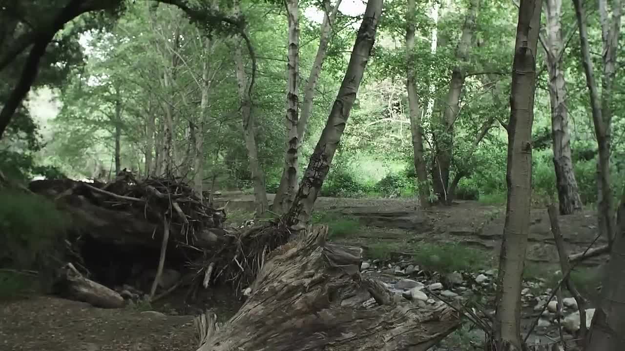 The Shattering (2023)