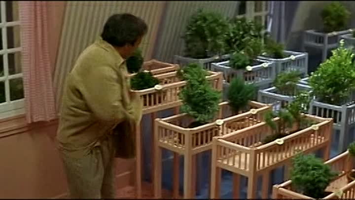 Tout Doit Disparaitre French Dvdrip XviD