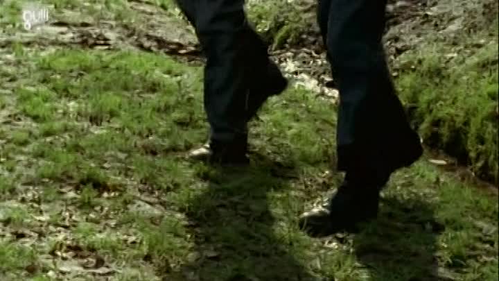 ⁣Une Ferrari Pour Deux French TVRIP XviD