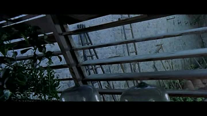 Vatel French Dvdrip XviD