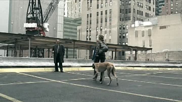 Un Crime French DVDRip DivX