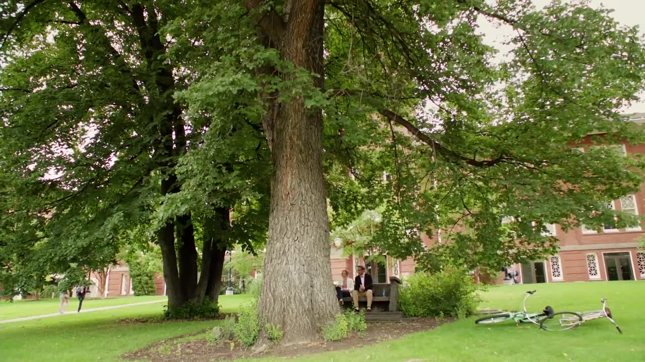 At Middleton 2013 HDRip x264