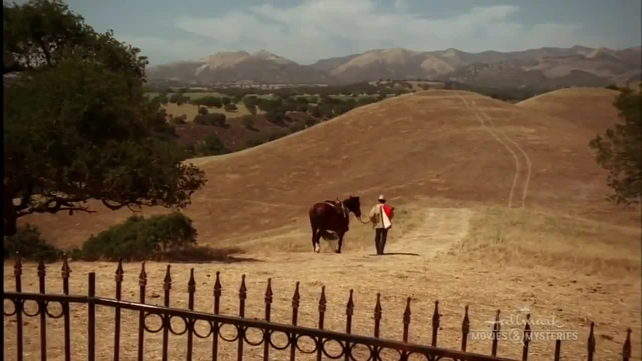 ⁣The Last Cowboy 2003 WEBRip x264