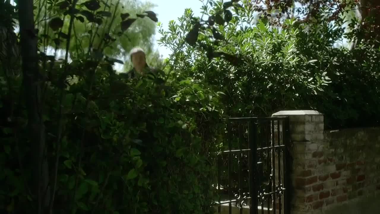 Summoned 2013 WEBRip x264