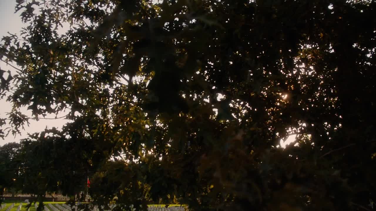 ⁣The Butler 2013 1080p BluRay x264 YIFY