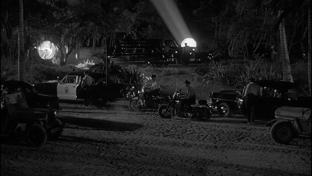 Revenge of the Creature 1955 1080p BluRay x264 YIFY