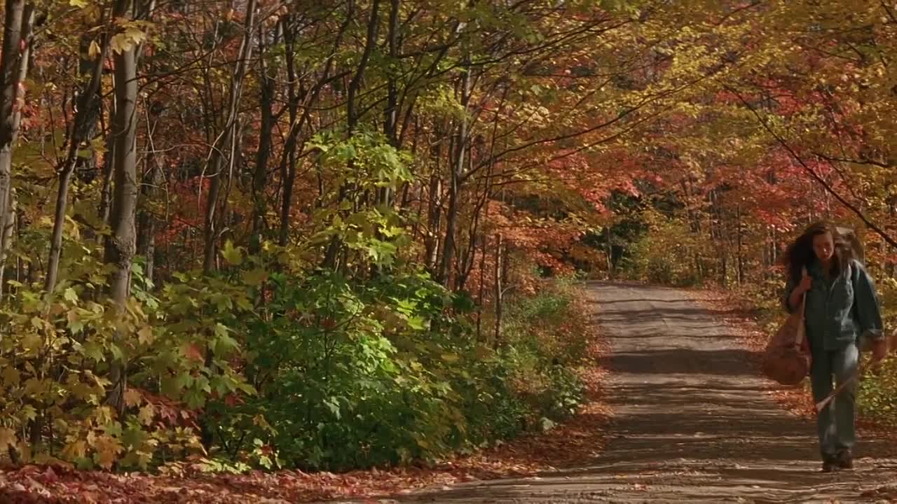 ⁣Indian Summer 1993 WEBRip x264