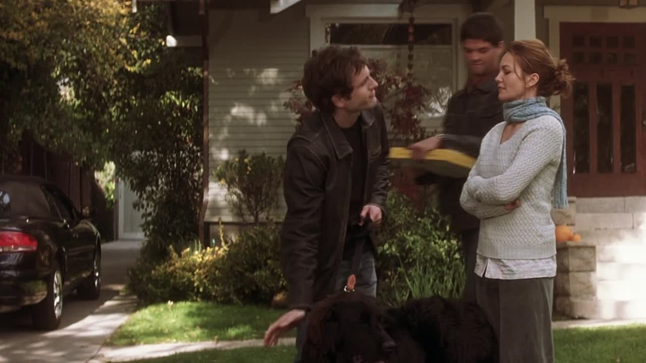 Must Love Dogs 2005 1080p WEBRip x264-[YTS LT]