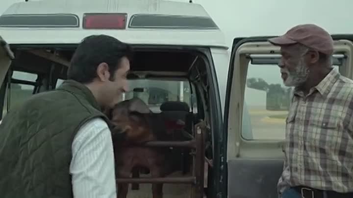 Sr Pig 2016 WEBRip x264