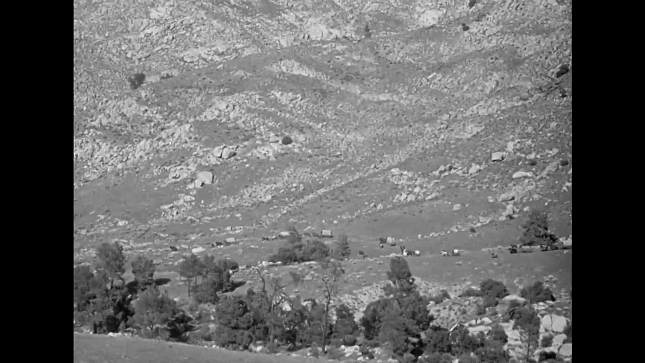 In Old California 1942 HDRip x264