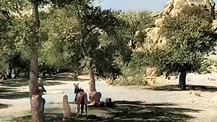 Neath the Arizona Skies 1934 WEBRip Colored x264