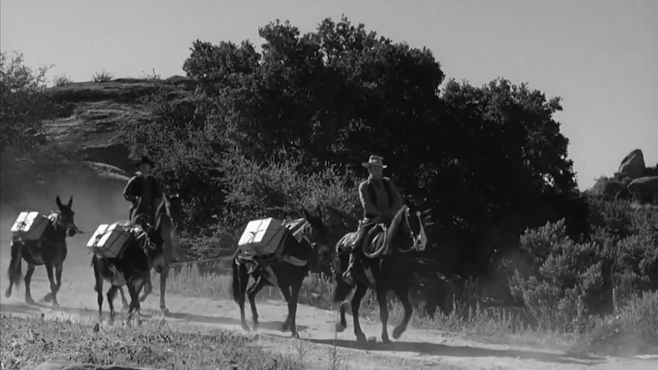 ⁣Overland Stage Raiders 1938 HDRip x264