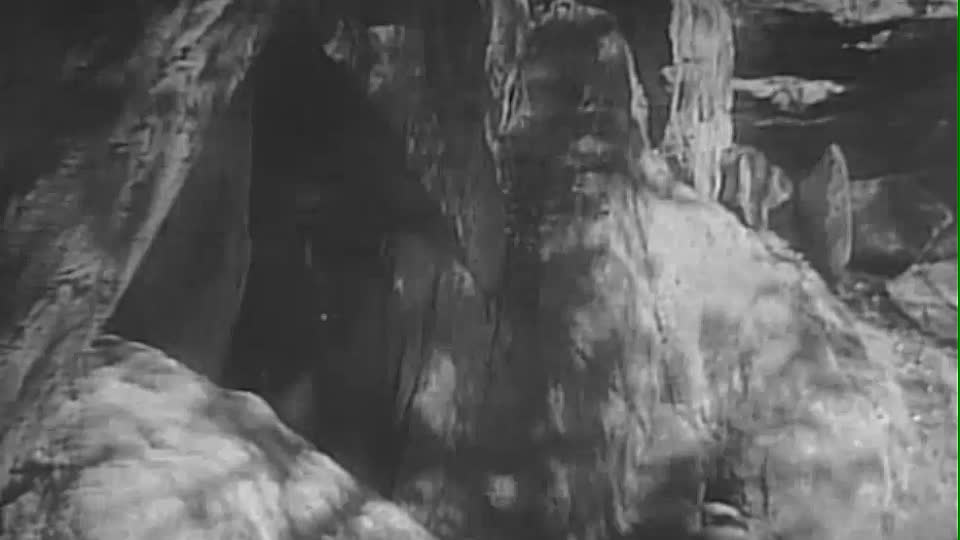 Randy Rides Alone 1934 WEBRip B&W x264