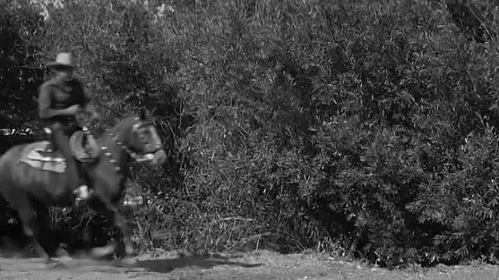 ⁣Pals Of The Saddle 1938 WEBRip x264