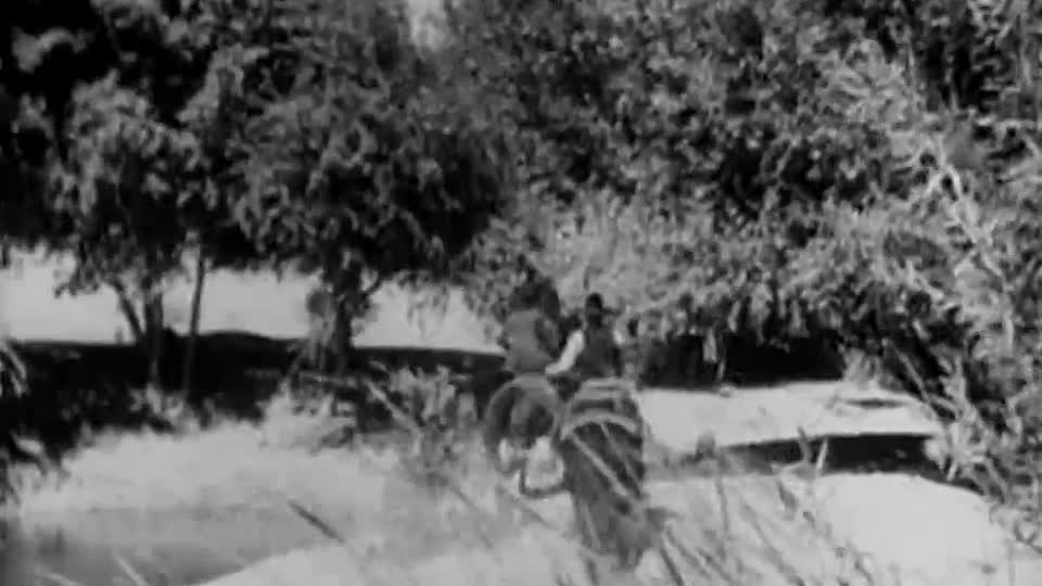 ⁣Sagebrush Trail 1933 WEBRip x264