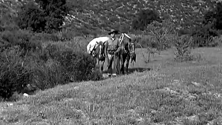 Two-Fisted Law 1932 WEBRip x264