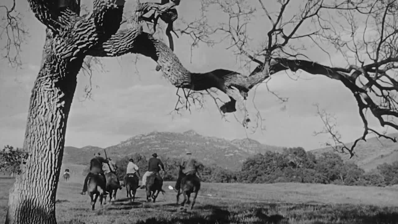 ⁣The Fighting Kentuckian 1949 HDRip x264