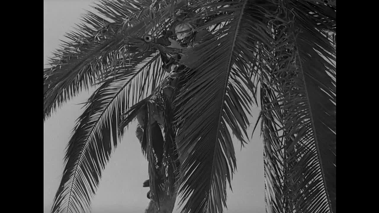 ⁣The Fighting Seabees 1944 HDRip x264