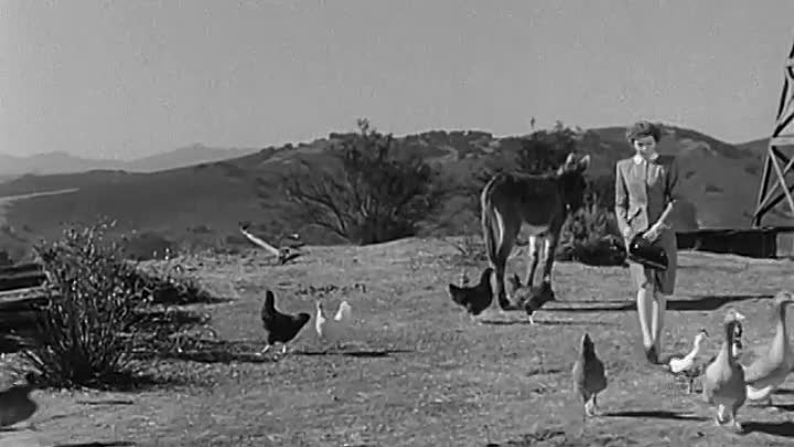 ⁣Without Reservations 1946 HDRip x264