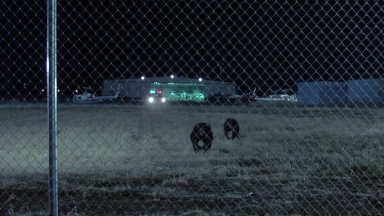 Project X 1987 1080p BluRay x264 AAC5 1-