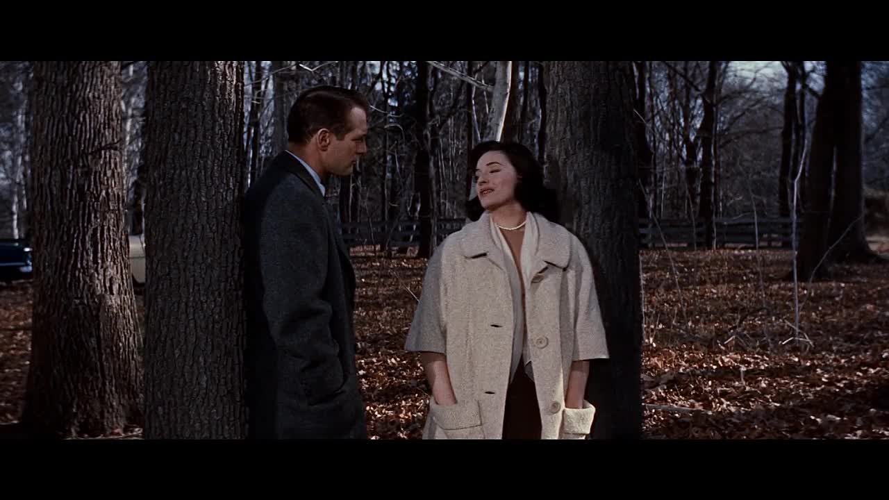 From The Terrace 1960 720p 19560 WEBRip x264