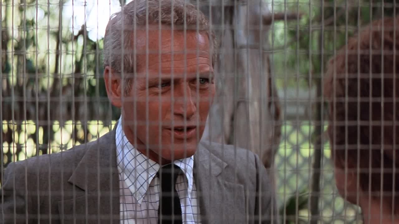 ⁣The Drowning Pool 1975 1080p BluRay x264-[YTS AM]