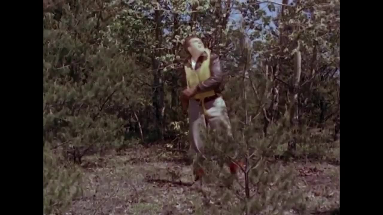 ⁣Fighter Squadron 1948 720p WEBRip x264 AAC