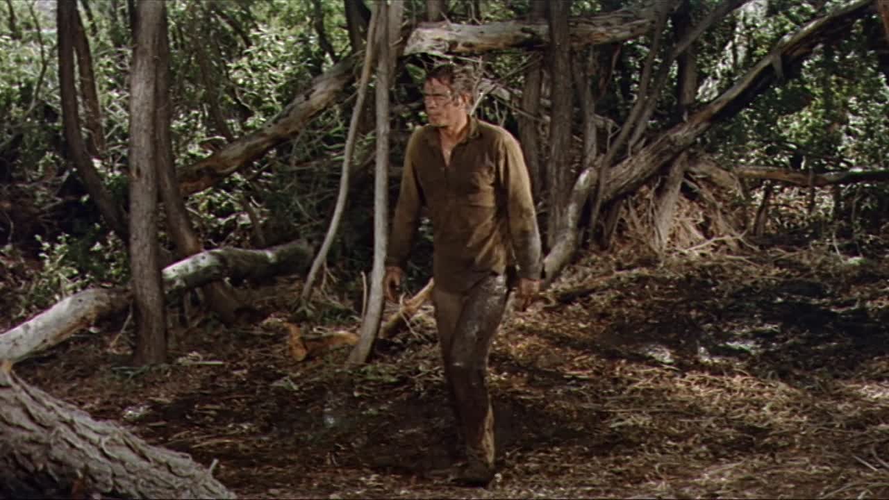 ⁣Nevada Smith 1966 1080p WEBRip x264 AAC-