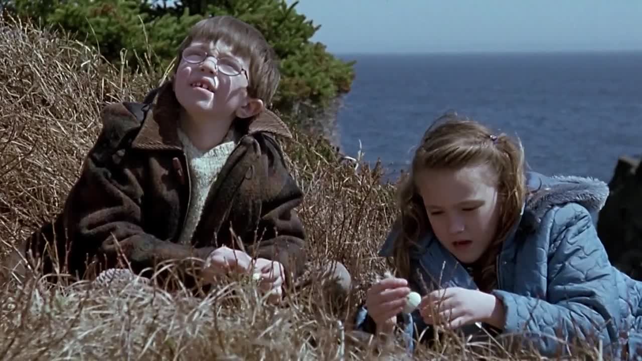 ⁣The Shipping News 2001 HDRip x264