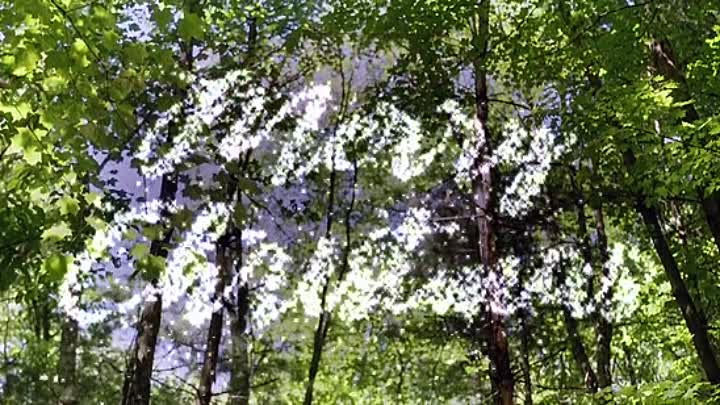 3 Bears Christmas 2019 HDRip XviD AC3-EVO