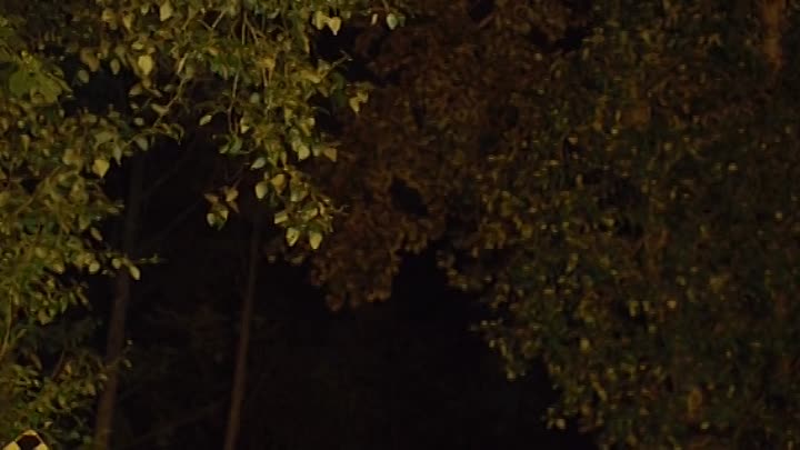 A M I 2019 HDRip XviD AC3-EVO