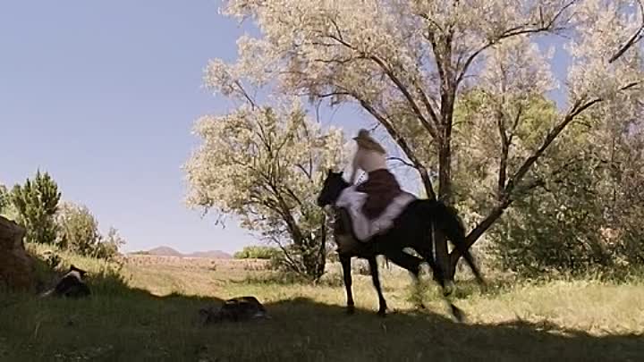 ⁣A Million Ways to Die in the West 2014 UNRATED BRRip XViD-juggs