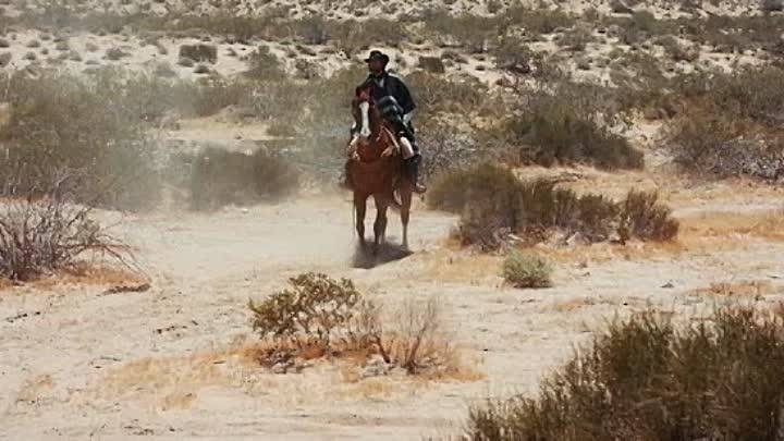 A Prayer For The Damned 2019 HDRip XviD AC3-EVO