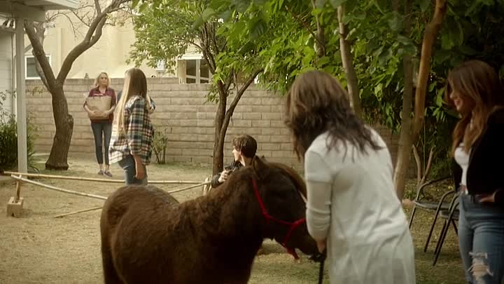 Adventures of Dally and Spanky 2019 HDRip XviD AC3-EVO