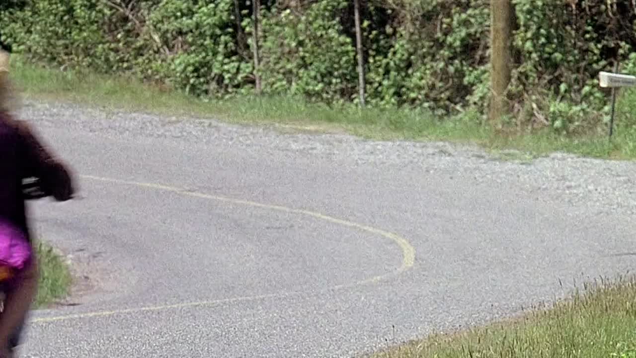 ⁣Bird On A Wire 1990 1080p BluRay x264-[YTS AG]