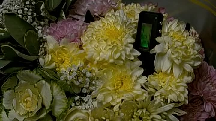 All Things to All Men 2013 BRRip XviD-AQOS