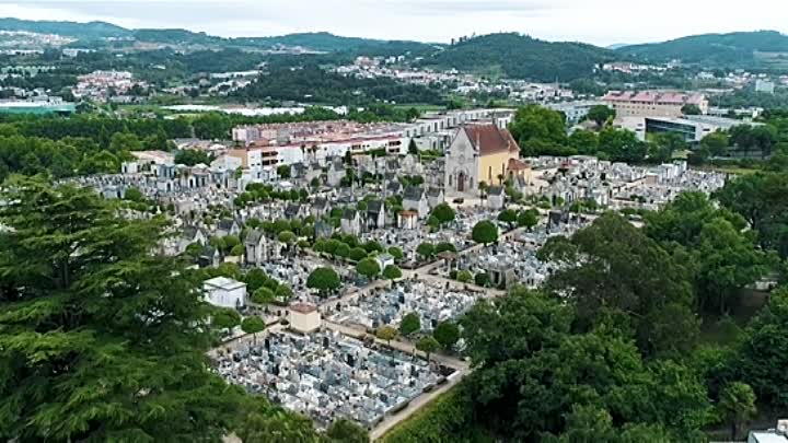 Alleyway 2021 HDRip XviD AC3-EVO