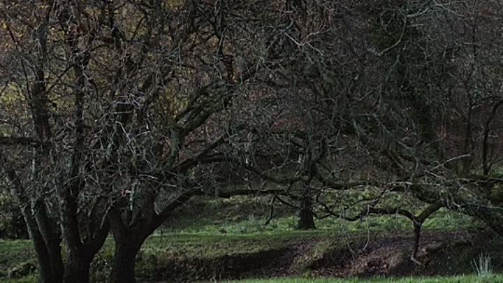 All My Friends Hate Me 2022 HDRip XviD AC3-EVO