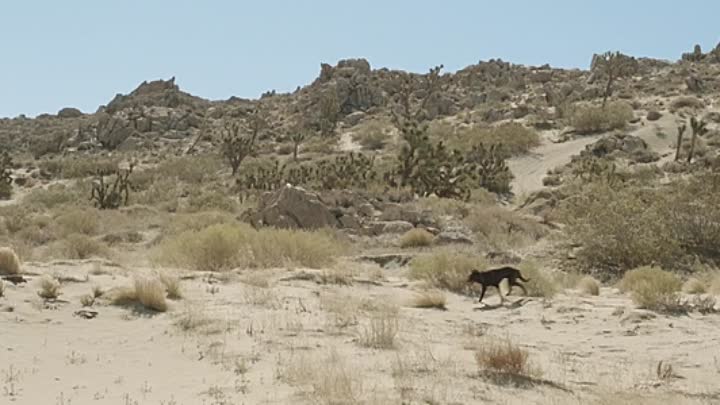 Anyone Home 2019 HDRip XviD AC3-EVO