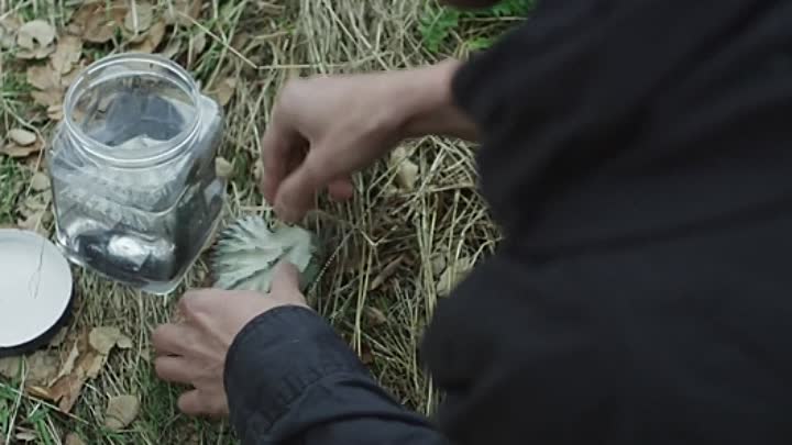 At Night Comes Wolves 2021 HDRip XviD AC3-EVO